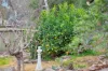 3 Walsh Court, Mount Barker, SA 5251-Image