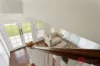 3 Walsh Street, Newtown, Qld 4305-Image