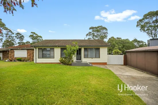 3 Warner Place, Greystanes, NSW 2145