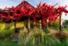 3  Watson Street, Castlemaine, Vic 3450-Image