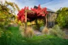 3  Watson Street, Castlemaine, Vic 3450-Image