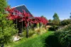 3  Watson Street, Castlemaine, Vic 3450-Image