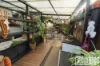 3 Westbury Rd, South Launceston, Tas 7249-Image