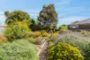 3 White Street, Belmont, Vic 3216-Image