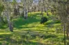 3 Wild Street, Williamstown, SA 5351-Image