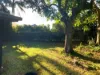 3 William Street, Yeppoon, Qld 4703-Image