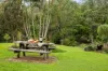 3 Willowie Lane, Dayboro, Qld 4521-Image