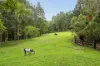 3 Willowie Lane, Dayboro, Qld 4521-Image