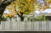 3 Windsor Street, Kew, Vic 3101