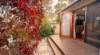 3 Wingara Street, Buddina, Qld 4575-Image