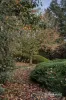 3 Winifred Court, Templestowe, Vic 3106-Image