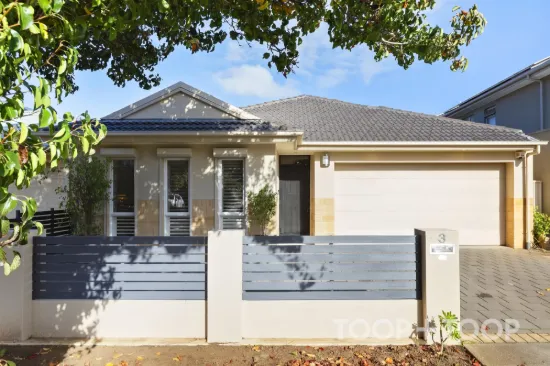 3 Witty Court, Underdale, SA 5032