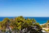 3 Wonderland Avenue, Tamarama, NSW 2026-Image