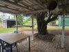 3 Wood St, Chinchilla, Qld 4413-Image