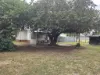 3 Wood St, Chinchilla, Qld 4413-Image