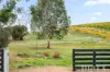 3 Yalumba Terrace, Angaston, SA 5353-Image