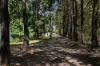 30 Aken Road, Howard Springs, NT 0835-Image