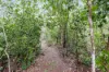 30 Alyxia Court, Virginia, NT 0834-Image