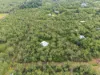 30 Alyxia Court, Virginia, NT 0834-Image