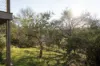 30 Anderson Road, Trevallyn, Tas 7250-Image