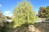 30 Barnes Street, Poochera, SA 5655-Image