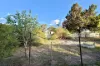 30 Barnes Street, Poochera, SA 5655-Image