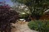30 Brown Street, Norwood, SA 5067-Image