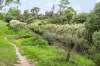 30 Cole Crescent, Coburg VIC 3058-Image
