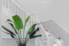 30 Como Street, Ormiston, Qld 4160-Image