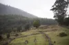 30 Coppermine Road, Frankford, Tas 7275-Image
