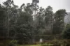 30 Coppermine Road, Frankford, Tas 7275-Image