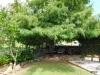 30 Deakin Crescent, Nanango, Qld 4615-Image