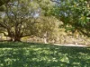 30 Edith Street, Perth, WA 6000-Image