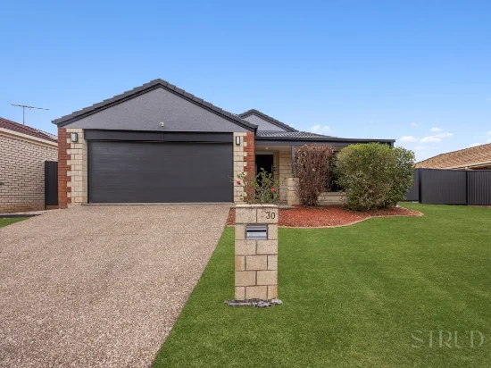 30 Ellen Circuit, Springfield Lakes, Qld 4300