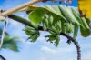 30 Eudlo Road, Mooloolah Valley, Qld 4553-Image