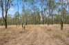 30 Forest Ridge Crescent, Mount Mort, Qld 4340-Image