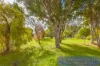 30 Forrest Street, Balingup, WA 6253-Image