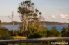 30 Harrington Crescent, Bawley Point, NSW 2539-Image