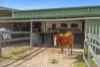 30 Honeyeater Court, Upper Caboolture, Qld 4510-Image