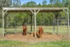 30 Honeyeater Court, Upper Caboolture, Qld 4510-Image