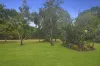 30 Inarlinga Road, Cowley Beach, Qld 4871-Image
