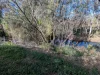 30 Kamilaroi Drive, Moree, NSW 2400-Image