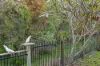 30 Keppel Way, Coomera QLD 4209-Image