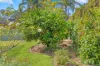 30 Kindelan Road, Winston Hills, NSW 2153-Image