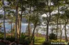 30 Kings Point Drive, Kings Point, NSW 2539-Image