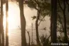 30 Kings Point Drive, Kings Point, NSW 2539-Image