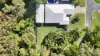 30 Leichardt Way, Andergrove, Qld 4740-Image