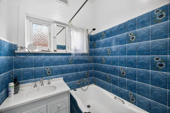 30 Linden Avenue, Punchbowl, NSW 2196-Image