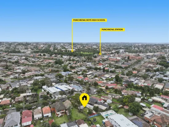 30 Linden Avenue, Punchbowl, NSW 2196-Image