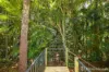 30 Long Road, Tamborine Mountain, Qld 4272-Image